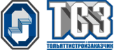 ТСЗ - Оказываем услуги технической поддержки сайтов по Нижнекамску